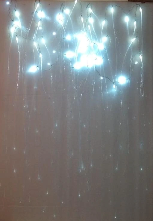 Light Creeper 5 Meter with Converter